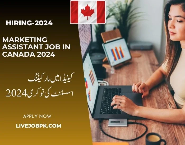 Marketing Assistant Job In Canada 2024